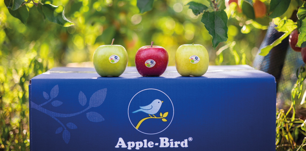 Pommes Apple Bird
