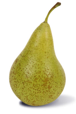Poire Conférence