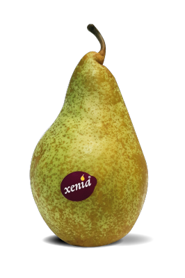 Poire Xenia