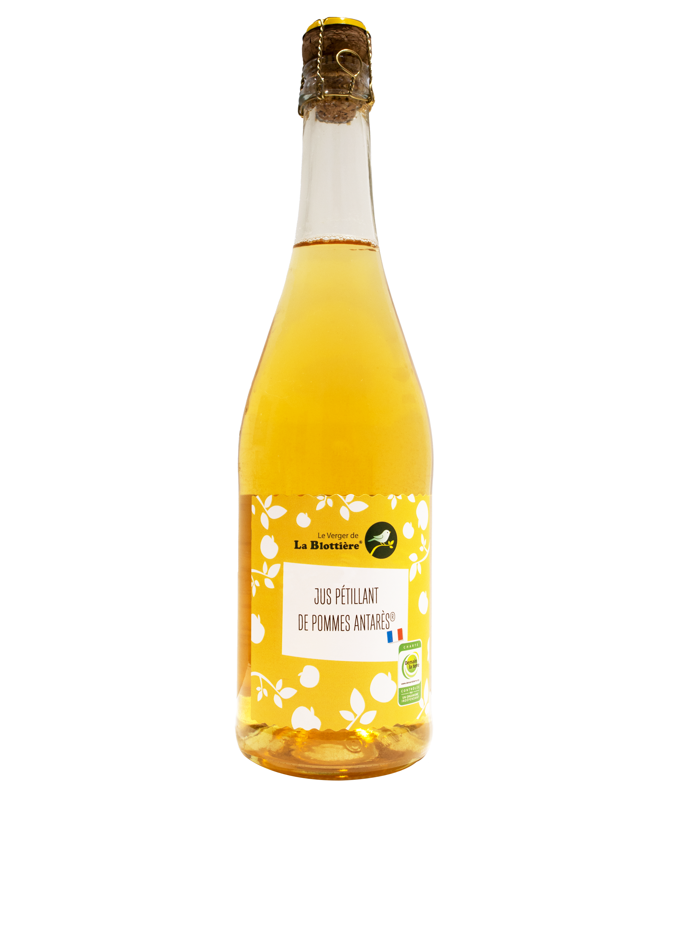 Jus pétillant d'Antarès®