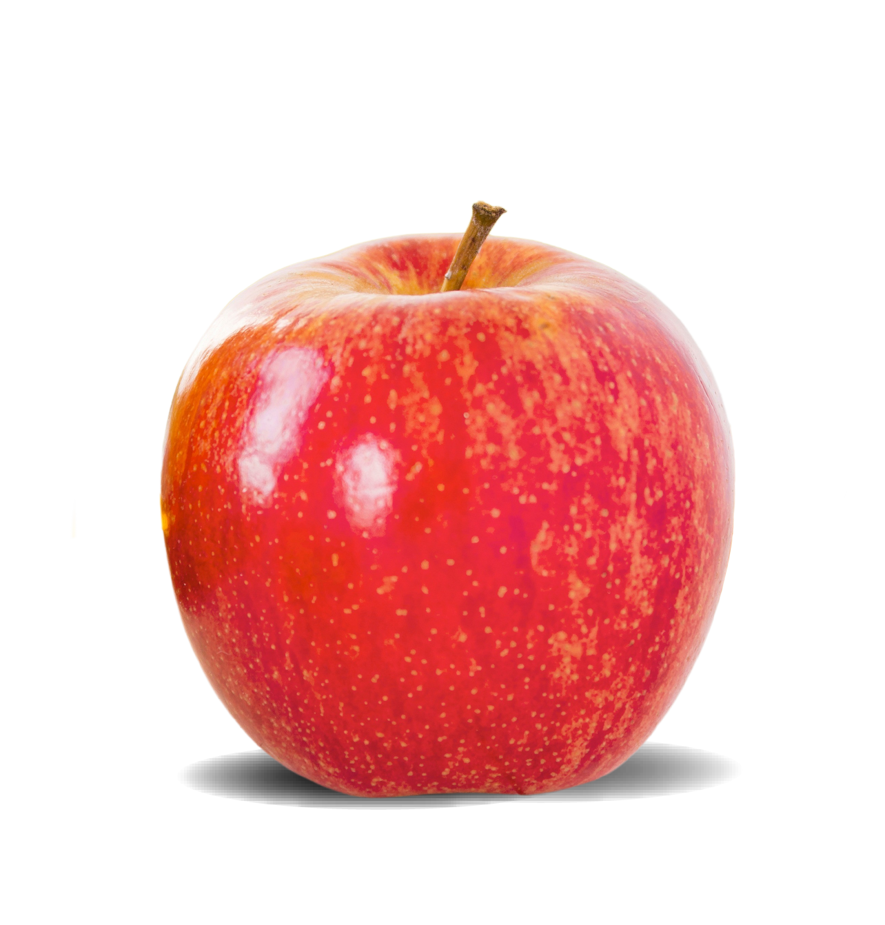 gala