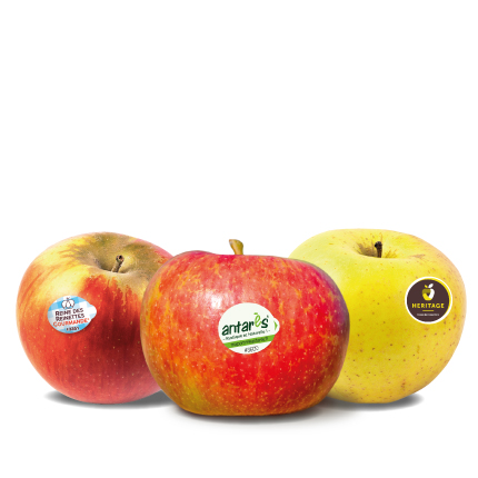visuel-nos-pommes