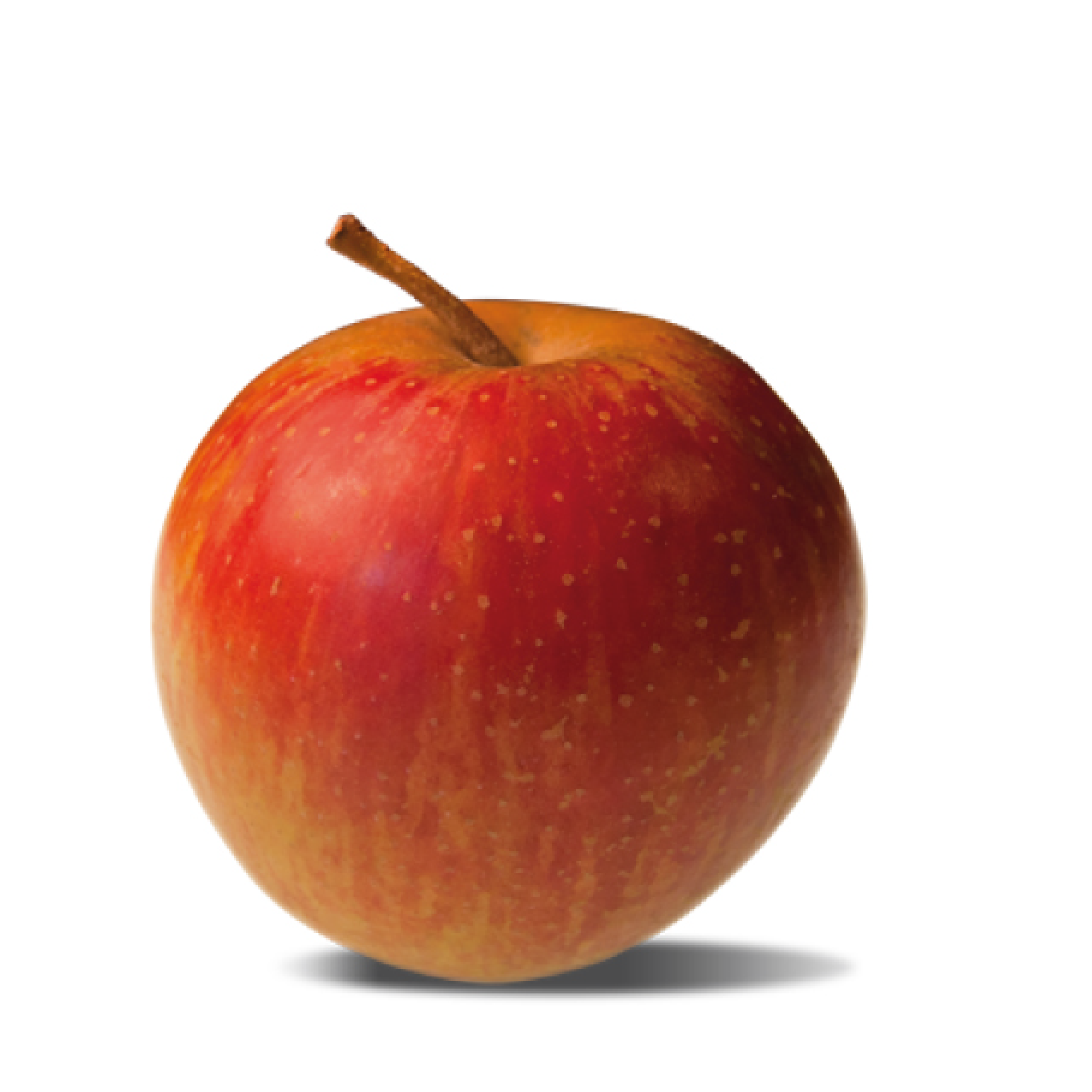 rubinette
